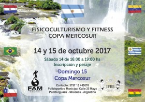 Mercosur17
